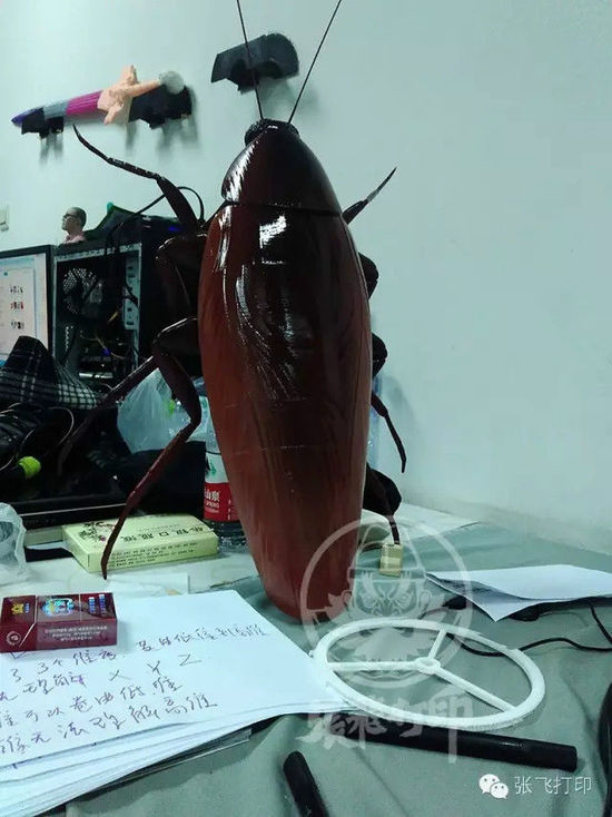 3D打印蟑螂小強誕生記(超精細) 妹紙膽小也可入
3D打印蟑螂,3D打印小強,3D打印技術,3D打印服務,3D打印平臺,e鍵打印