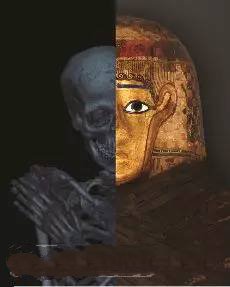 3D打印技術助歷史學家剖析木乃伊"結構"_e鍵打印服務平臺