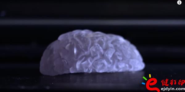 生物3d打印,生物3d打印技術,生物3d打印技術,生物3d打印材料,生物3d打印發展,3D打印心臟,3D打印服務 生物3d打印,生物3d打印技術,生物3d打印技術,生物3d打印材料,生物3d打印發展,3D打印心臟,3D打印服務